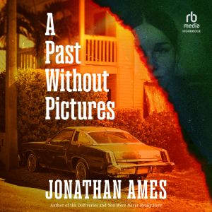 A Past Without Pictures, Jonathan Ames