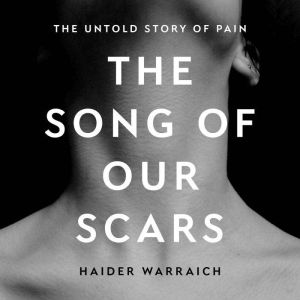 The Song of Our Scars, Haider Warraich