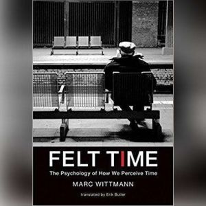 Felt Time, Marc Wittmann