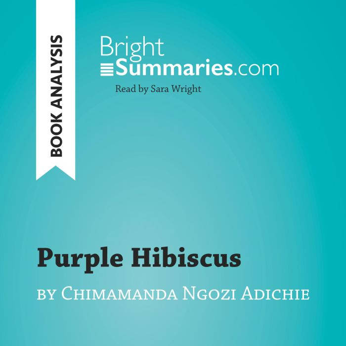 Purple Hibiscus by Chimamanda Ngozi A..., Bright Summaries