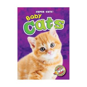 Baby Cats, Bethany Olson