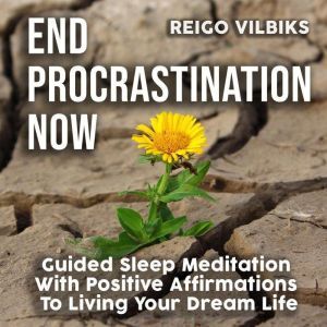 End Procrastination Now, Reigo Vilbiks