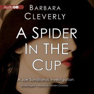 A Spider in the Cup, Barbara Cleverly