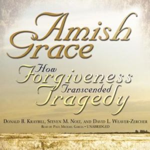 Amish Grace, Donald B. Kraybill, Steven M. Nolt, David L. WeaverZercher