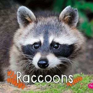 Raccoons, G.G. Lake