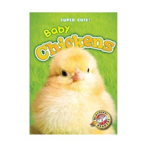Baby Chickens, Megan BorgertSpaniol