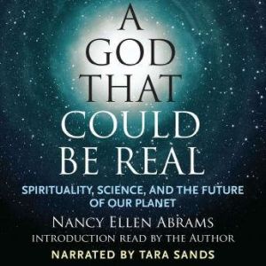 A God That Could Be Real, Nancy Ellen Abrams
