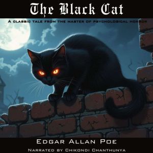 The Black Cat