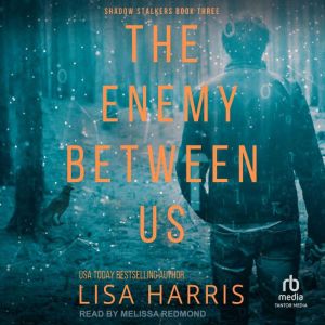 The Enemy Between Us, Lisa Harris