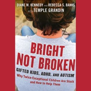 Bright Not Broken, Rebecca S. Banks