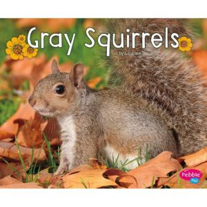 Gray Squirrels, G.G. Lake