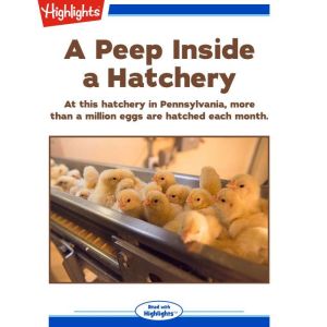 A Peep Inside a Hatchery, Lisa Amstutz