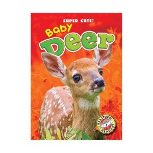 Baby Deer, Bethany Olson