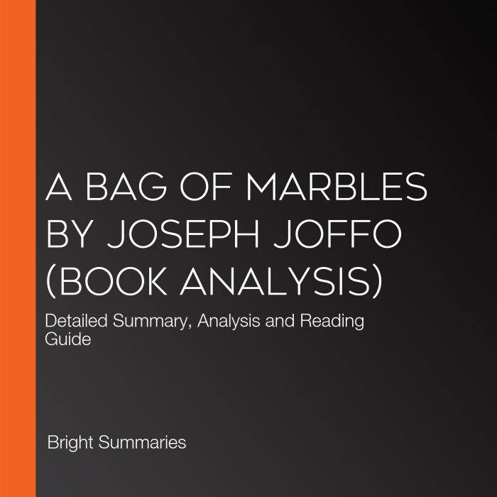 A Bag of Marbles by Joseph Joffo Boo..., Bright Summaries