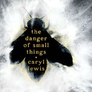 The Danger of Small Things, Caryl Lewis
