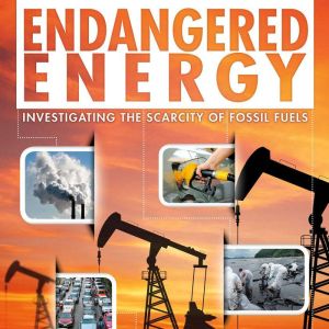 Endangered Energy, Rani Iyer
