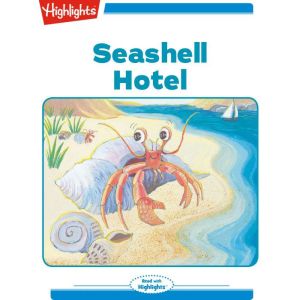 Seashell Hotel, Nancy Cote