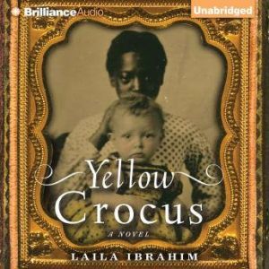 Yellow Crocus, Laila Ibrahim