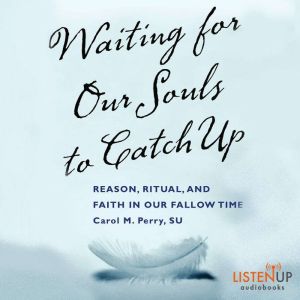 Waiting for our Souls to Catch Up, Carol Perry