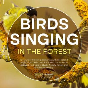 Birds Singing in the Forest: 15 Hours of Relaxing Birdsongs with Woodland Birds, Night Owls, and Rainforest Canopies to Suppor