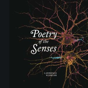 Poetry of the senses
