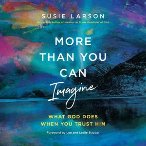 More Than You Can Imagine, Susie Larson