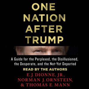 One Nation After Trump A Guide for the Perplexed, the Disillusioned, the Desperate, and the Not-Yet Deported, E.J. Dionne, Jr.