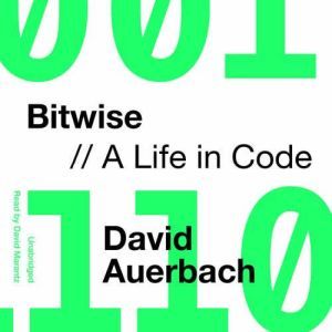 Bitwise, David Auerbach