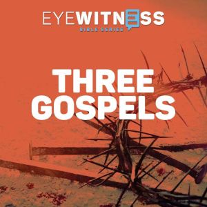 Eyewitness Bible Series Three Gospel..., Christian History Institute