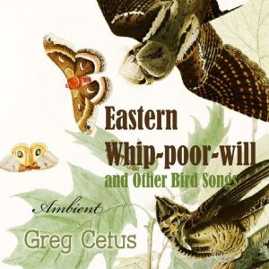 Eastern Whippoorwill and Other Bird..., Greg Cetus