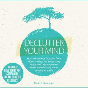 Declutter Your Mind, Marie S. Davenport