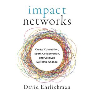 Impact Networks, David Ehrlichman