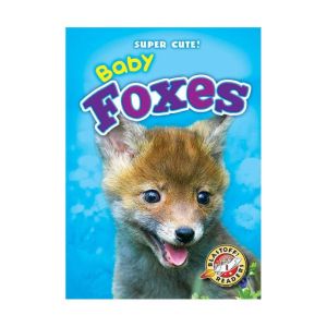 Baby Foxes, Megan BorgertSpaniol