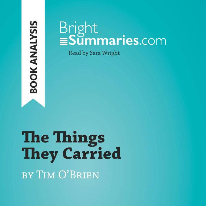The Things They Carried by Tim OBrie..., Bright Summaries