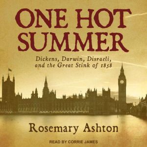 One Hot Summer, Rosemary Ashton