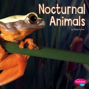 Nocturnal Animals, Abbie Dunne