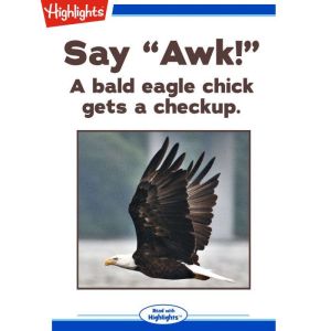 Say Awk!, Bob Michelson