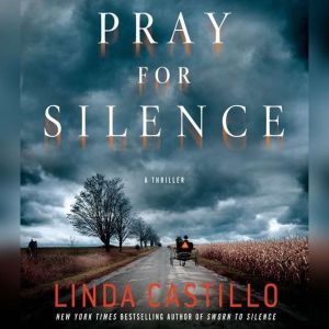 Pray for Silence, Linda Castillo