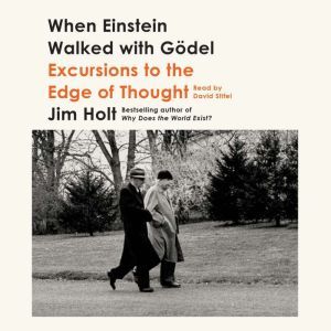 When Einstein Walked with Godel, Jim Holt