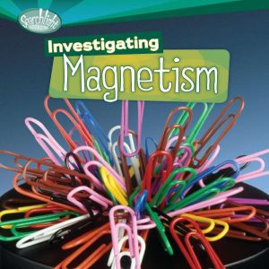 Investigating Magnetism, Sally M. Walker