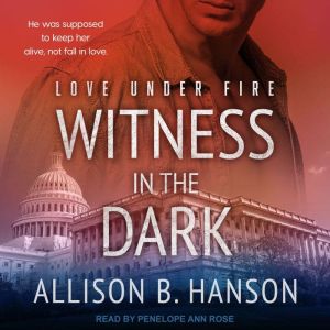 Witness in the Dark, Allison B. Hanson