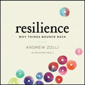 Resilience, Andrew Zolli