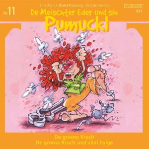 De Meischter Eder und sin Pumuckl Nr. 11: De grooss Krach - De grooss Krach und siini Folge