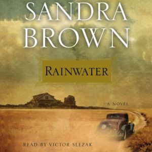 Rainwater, Sandra Brown