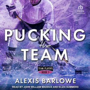 Pucking the Team: A Why Choose Hockey Romance