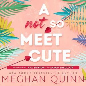 A Not So Meet Cute, Meghan Quinn