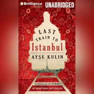 Last Train to Istanbul, Ayse Kulin