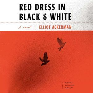 Red Dress in Black and White, Elliot Ackerman