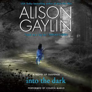 Into the Dark: A Novel of Suspense, Alison Gaylin