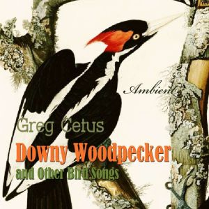 Downy Woodpecker and Other Bird Songs..., Greg Cetus